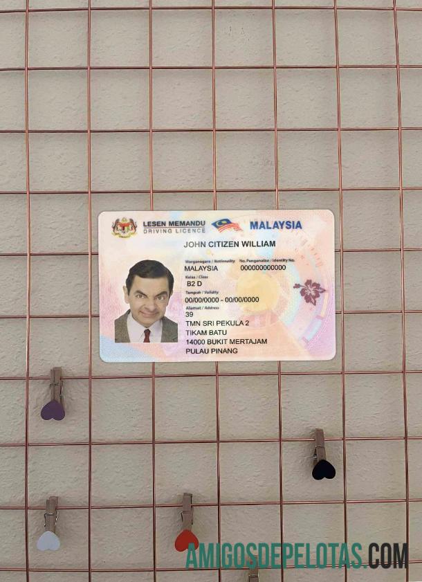 Malásia DL fotovisual frontal baixar para verificação